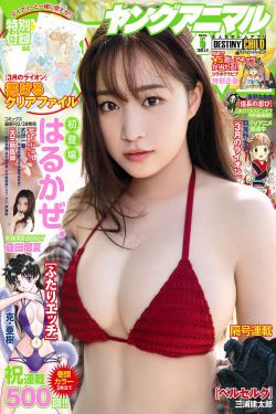 都挺好电视剧全集免费