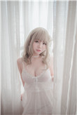 王子的骑士